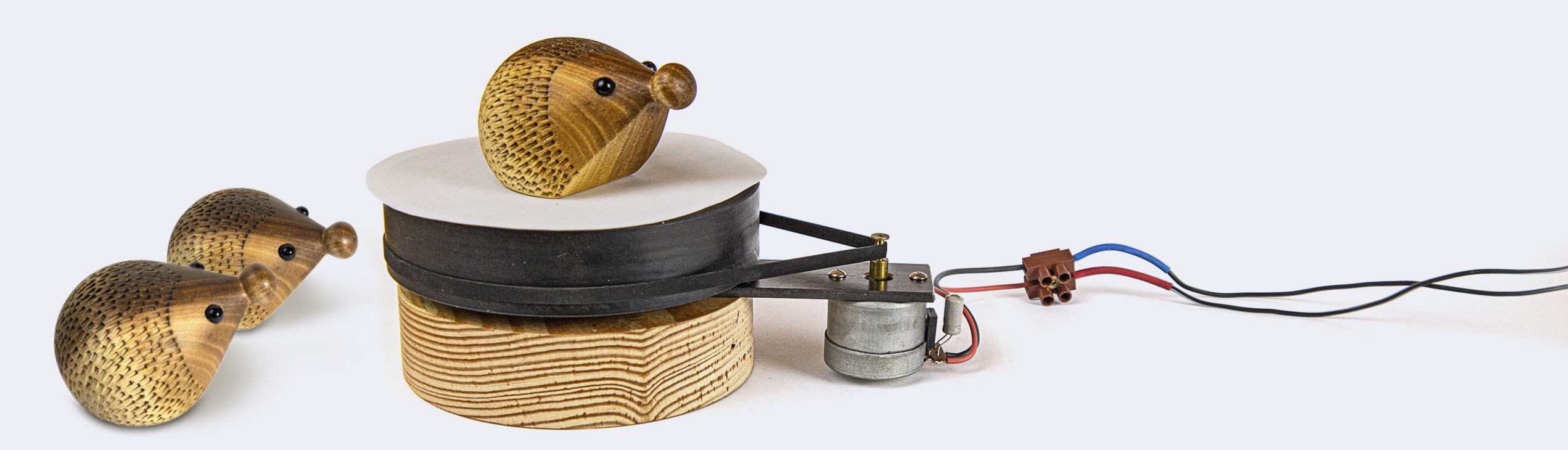 Ein Igel zum Filmen auf einem Drehteller. Dieser wird von einem alten Schallplattenspieler-Motor angetrieben.