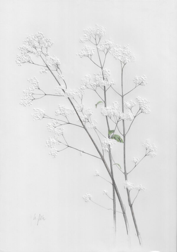 Geprägte Farbstift-Zeichnung eines winterlichen Oregano-Zweigs.